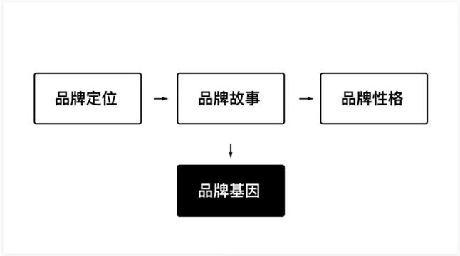 如何将品牌基因融入到产品设计中?